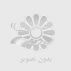 بالابر زنجیری برقی
